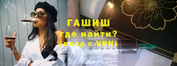 сатива Новодвинск