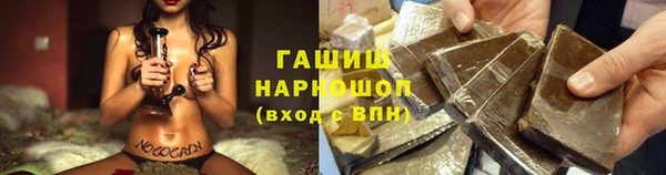 прущие грибы Абаза