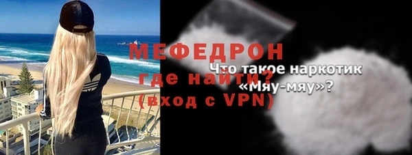 сатива Новодвинск