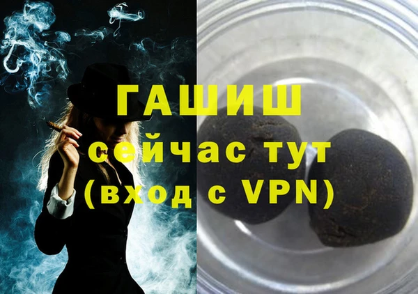 сатива Новодвинск