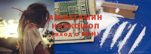 прущие грибы Абаза
