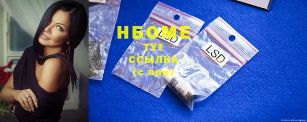 прущие грибы Абаза