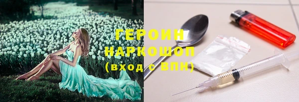 сатива Новодвинск