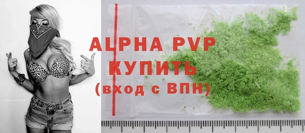 прущие грибы Абаза
