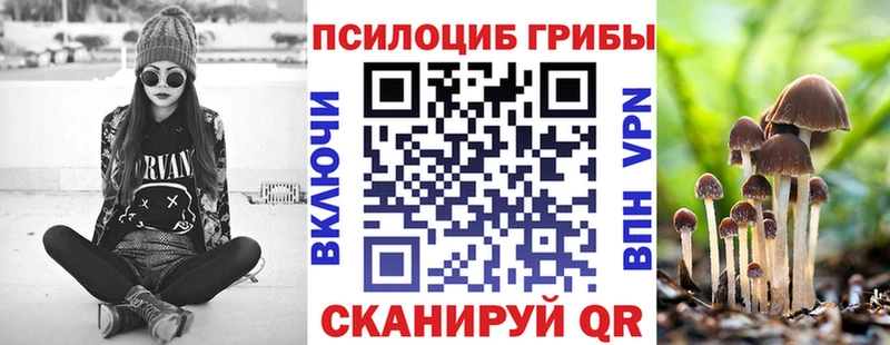 закладки  Почеп  гидра ссылки  Галлюциногенные грибы ЛСД 